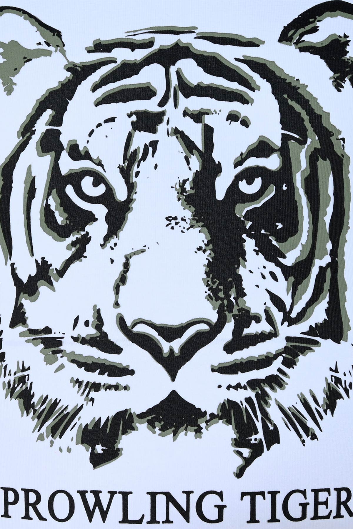 5696-Girls Longsleeve -Tiger