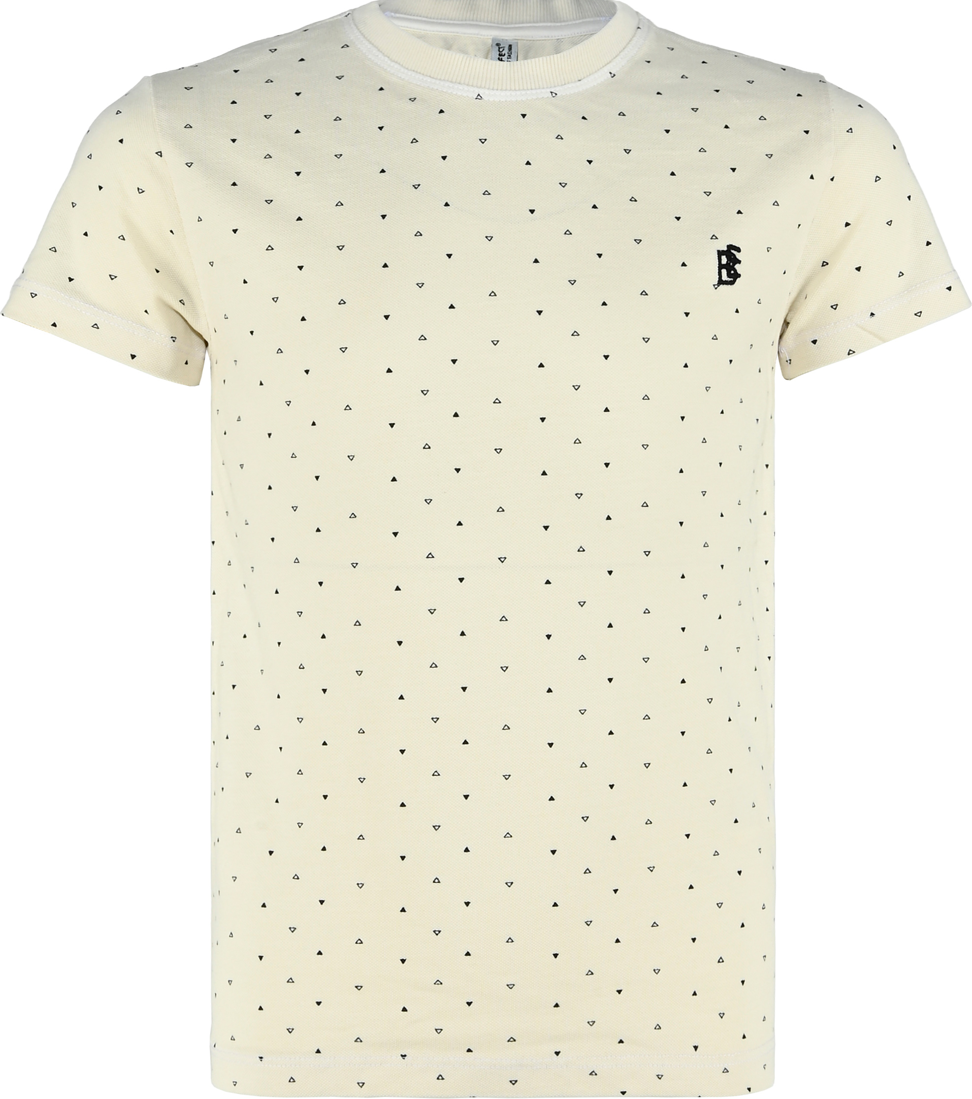 6190-Boys T-Shirt -BE